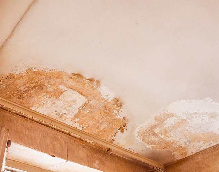 Damp Patch on the Ceiling: What to Do First (And What Not to Do)